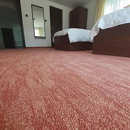 Πανσιόν Navigator House Cluj Napoca Κλουζ-Ναπόκα